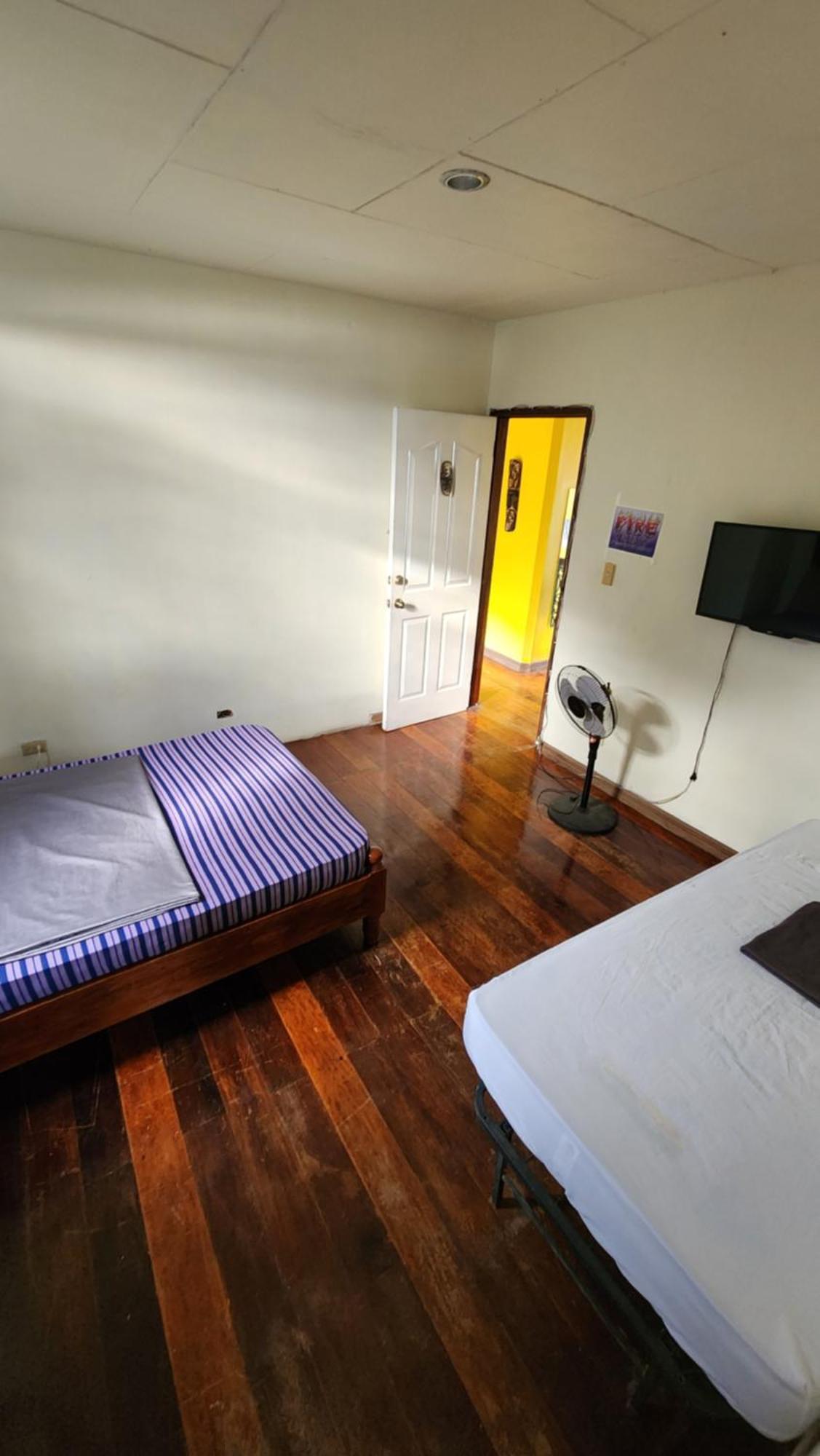 Screaming Gecko Hostel Busuanga Esterno foto