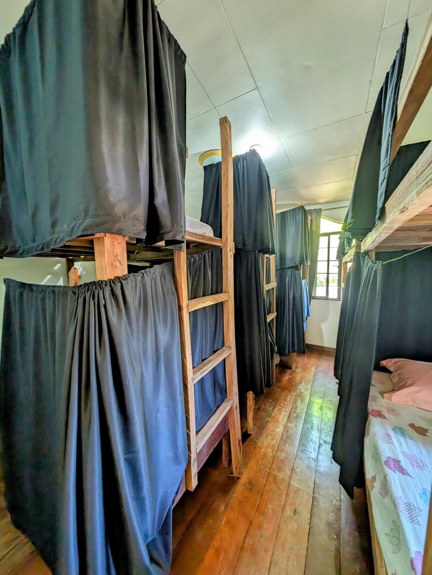 Screaming Gecko Hostel Busuanga Esterno foto